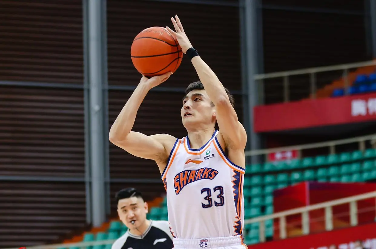 己的年轻球, 生涯